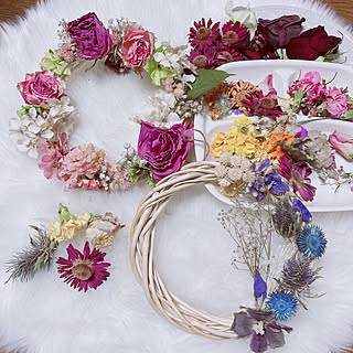 ガーベラ シリカゲルドライのおしゃれなアレンジ 飾り方のインテリア実例 Roomclip ルームクリップ