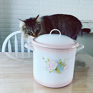 フレンチカントリー/イマンホーロー/イマン/norwegianforestcat/ノルウェージャンフォレストキャット...などのインテリア実例 - 2019-05-20 06:29:14