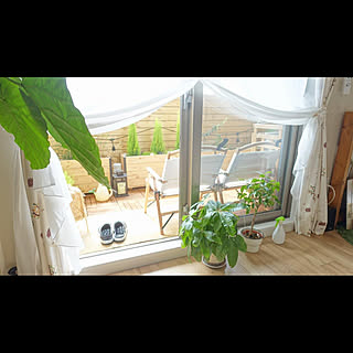 植物男子ベランダーのインテリア実例 Roomclip ルームクリップ 植物男子ベランダーのインテリア実例 Roomclip ルームクリップ