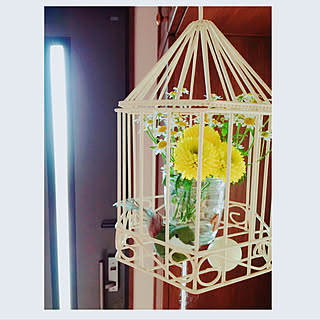 玄関/入り口/鳥かごにお花を入れてみました♪/春を感じるお花たち♡/玄関ドア/ナチュラル...などのインテリア実例 - 2018-02-02 18:58:29