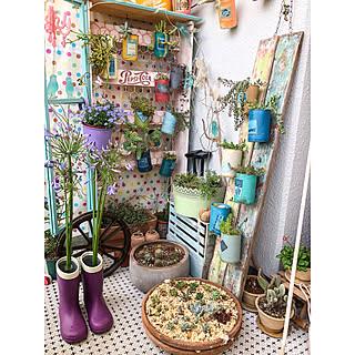 ベッド周り/多肉植物/棚DIY/アガパンサス/廃材DIY...などのインテリア実例 - 2018-06-27 14:15:46