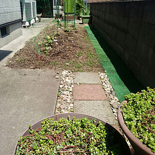 家庭菜園/芝生風マット/ブロックコンクリート/狭い庭/庭石...などのインテリア実例 - 2020-04-30 13:18:05