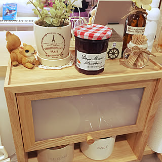 100均 リスの置物 の商品を使ったおしゃれなインテリア実例 Roomclip ルームクリップ