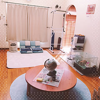 バスケットゴールdiyのインテリア 手作りの実例 Roomclip ルームクリップ バスケットゴールdiyのインテリア 手作りの実例 Roomclip ルームクリップ