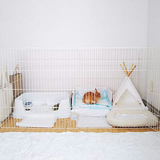うさぎ小屋のインテリア実例 Roomclip ルームクリップ うさぎ小屋のインテリア実例 Roomclip ルームクリップ