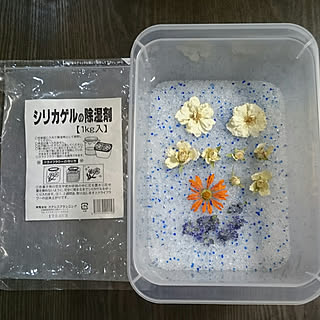 イベント参加中 シリカゲルドライフラワーのインテリア実例 Roomclip ルームクリップ