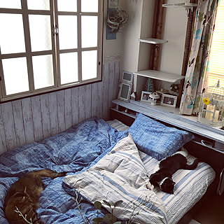ベッド周り/ニトリの布団カバーセット/二重窓DIY/キャットタワーDIY/猫のいる暮らし...などのインテリア実例 - 2018-08-13 07:40:54