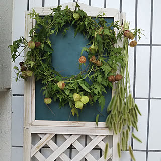 エノコログサのインテリア実例 Roomclip ルームクリップ