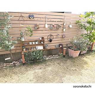 ベッド周り/1×4材/1×4DIY/セリア/ダイソー...などのインテリア実例 - 2017-05-04 11:32:23