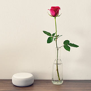Alexa/amazon echo dot/amazon echo/薔薇/ガラス...などのインテリア実例 - 2020-02-02 12:40:08