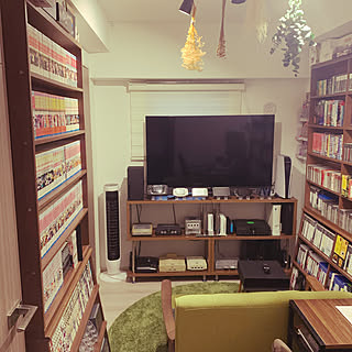 ニトリ ゲーム収納のインテリア実例 Roomclip ルームクリップ