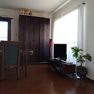 観葉植物のある暮らし 小さく買って大きく育てるのインテリア実例 Roomclip ルームクリップ