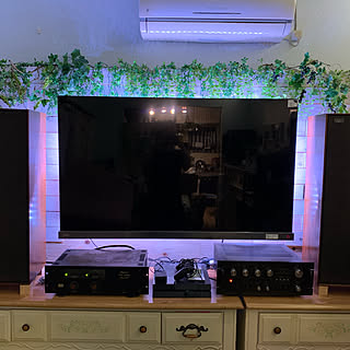 55型有機elのインテリア実例 Roomclip ルームクリップ