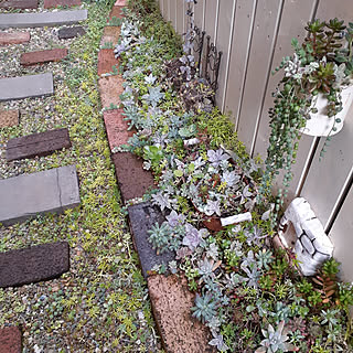 レンガ 隙間セダムのおしゃれなアレンジ 飾り方のインテリア実例 Roomclip ルームクリップ