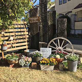 アリッサム/ビオラ/花かんざし/花のある暮らし/雑貨好き...などのインテリア実例 - 2019-03-21 17:43:41