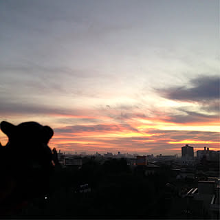 部屋全体/スマホで撮影/嫁さまの撮影/写真がうまく撮れるようになりたい♡/逆光なのでこんな感じ...などのインテリア実例 - 2017-10-18 08:58:27
