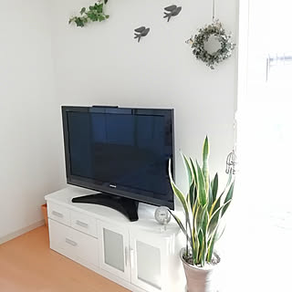リビング/ニトリ/サンスベリア/北欧に憧れる/植物のある暮らし...などのインテリア実例 - 2019-04-11 14:53:59