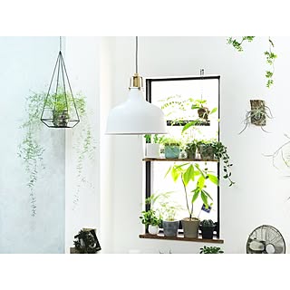 ベッド周り/子供と暮らす/植物と暮らす/DIY/ボタニカルライフ...などのインテリア実例 - 2017-06-16 09:25:51