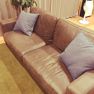 リビング/IKEAクッション/crashgate/クラッシュゲート/クラッシュゲートのレザーソファー...などのインテリア実例 - 2017-08-25 21:28:23