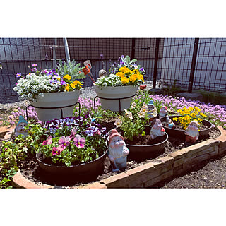 寄せ植え マリーゴールドのインテリア実例 Roomclip ルームクリップ