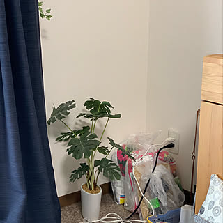 鉢底石のインテリア実例 Roomclip ルームクリップ