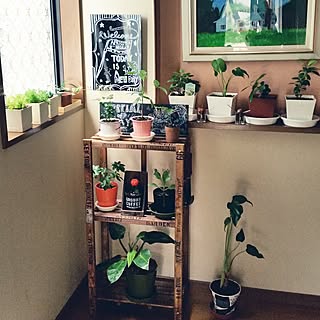 セリア 花台のインテリア実例 Roomclip ルームクリップ