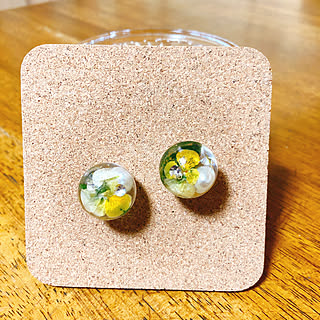 部屋全体/ビオラ押し花/押し花ピアス/レジン初挑戦/フォロー大歓迎\( ˆoˆ )/...などのインテリア実例 - 2018-04-24 18:02:50