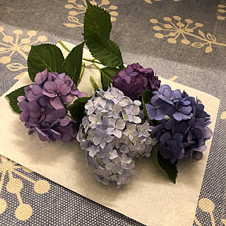 紫陽花 切り花のおしゃれなアレンジ 飾り方のインテリア実例 Roomclip ルームクリップ