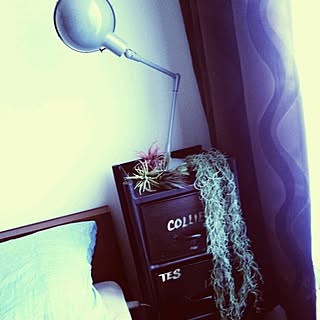 ロハスフェスタ万博公園/インダストリアルな照明/ジャーナルスタンダードファニチャー/いなざうるす屋さん★/植物...などのインテリア実例 - 2014-11-03 17:06:18