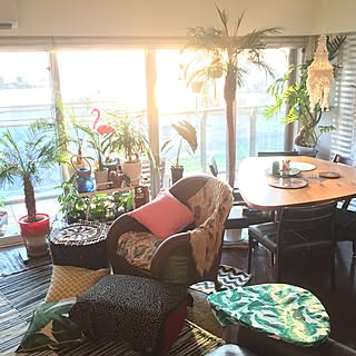 アロカシアのインテリア実例 Roomclip ルームクリップ