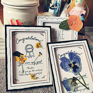 パンジー 押し花のインテリア実例 Roomclip ルームクリップ