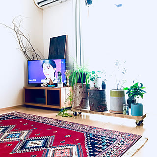 部屋全体/羽生結弦くんおめでとう/一人暮らし/NO GREEN NO LIFE/Boho Style...などのインテリア実例 - 2018-02-17 14:59:20