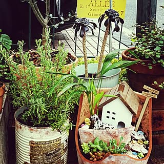 玄関/入り口/DIY/リメイク鉢/多肉植物♡/リメ缶♡/グリーン...などのインテリア実例 - 2015-07-02 21:29:09