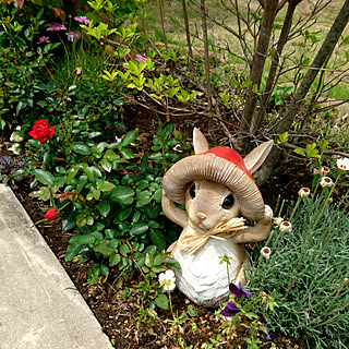 壁/天井/壁/天井じゃなくてすいません/和洋ミックスを目指す/築30年以上/和風住宅...などのインテリア実例 - 2019-05-15 13:59:32