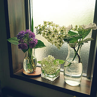 紫陽花 挿し木のおしゃれなアレンジ 飾り方のインテリア実例 Roomclip ルームクリップ