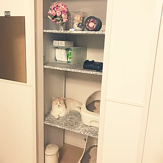 リメイクシート スーパービバホームのインテリア実例 Roomclip ルームクリップ