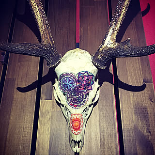 鹿の頭蓋骨のインテリア実例 Roomclip ルームクリップ 鹿の頭蓋骨のインテリア実例 Roomclip ルームクリップ