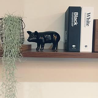 ぶたの貯金箱のインテリア実例 Roomclip ルームクリップ