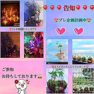 部屋全体/締切は22日の22時です!/テラリウムポストカード/ハロウィンポストカード/ポストカードプレゼントします✨...などのインテリア実例 - 2018-10-12 13:13:40