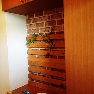 玄関/入り口/観葉植物/ダイソー/雑貨/100均...などのインテリア実例 - 2016-09-11 12:25:44