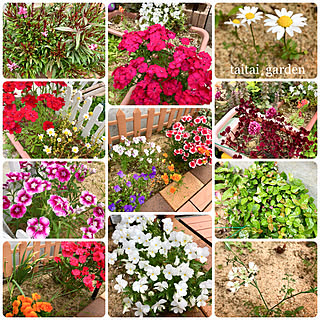 花壇 手作り オルレアのインテリア実例 Roomclip ルームクリップ