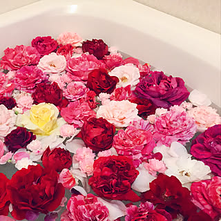 バラ風呂のインテリア実例 Roomclip ルームクリップ