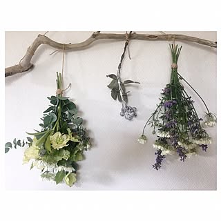 壁/天井/流木/ハンドメイド/ドライフラワー/スワッグのインテリア実例 - 2017-06-16 13:22:28