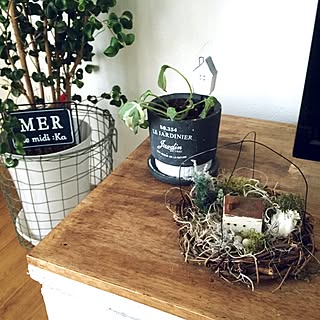 棚/Go Green Market/今更ですが…/anzuさんのドライ/サビハウス...などのインテリア実例 - 2015-06-08 10:24:42