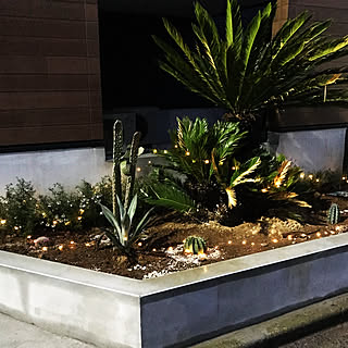 オーストラリアンローズマリーのインテリア実例 Roomclip ルームクリップ