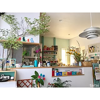 部屋全体/2017.5.4/キッチンカウンター/アボカド水栽培/DIY...などのインテリア実例 - 2017-05-04 16:47:40
