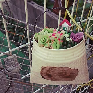 玄関/入り口/いただきもの♪/ハンドメイド♡/フェイク多肉缶のインテリア実例 - 2014-05-07 14:25:08
