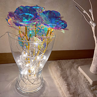 オーロラローズのインテリア実例 Roomclip ルームクリップ オーロラローズのインテリア実例 Roomclip ルームクリップ