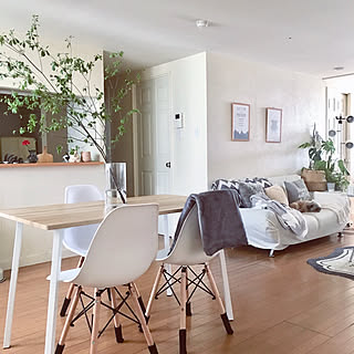 フラワーベース/ニトリ/どうだんツツジ/イームズチェアリプロダクト/ダイニングセット...などのインテリア実例 - 2019-12-17 12:16:40