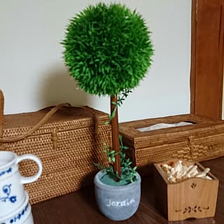 オアシスのインテリア実例 Roomclip ルームクリップ